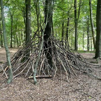 Coppice, Woodland Art and Life