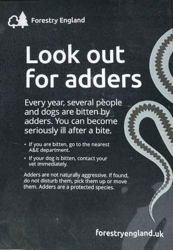 Beware of Adders poster at the entrance to the woods